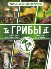 Литература Книга Поленов Андрей Борисович. Большая энциклопедия. Грибы. Съедобные и несъедобные. Собираем и готовим 9785171381325