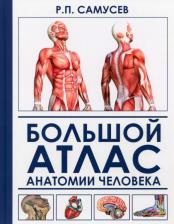 Литература Книга Самусев Рудольф Павлович, Агеева Валентина Анатольевна. Большой атлас анатомии человека