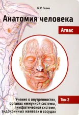 Литература Книга Сапин М.Р.; Под ред. В.Н. Николенко. Анатомия человека. Атлас. Учебное пособие в 3-х томах. Том 2. Учение о внутренностях, органах имунной системы