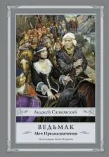 Литература Книга Сапковский Анджей. Ведьмак. Меч Предназначения