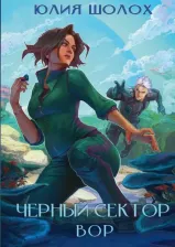 Литература Книга Шолох Юлия. Черный сектор. Вор. 4