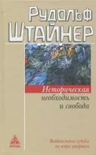 Литература Книга Штайнер Рудольф. Историческая необходимость и свобода. Воздействия судьбы из мира умерших