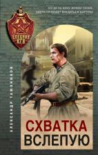 Литература Книга Схватка вслепую