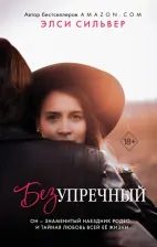 Литература Книга Сильвер Элси. Безупречный