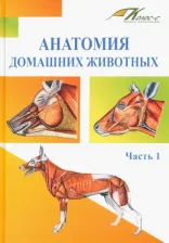 Литература Книга Слесаренко Наталья Анатольевна, Баймишев Хамидулла Балтуханович, Хрусталева Ирина Владимировна. Анатомия домашних животных. Учебник. Часть 1