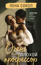 Литература Книга Сокол Лена. Очень плохой профессор
