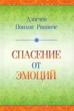Литература Книга Спасение от эмоций. Как работать со своими эмоциями и трансформировать боль и смятение в энергию