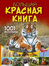 Литература Книга Спектор Анна Артуровна. Большая красная. 1001 фотография