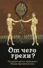 Литература Книга Святой праведный Иоанн. От чего грехи? Опыт борьбы со страстями