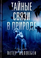 Литература Книга Тайные Связи В природе
