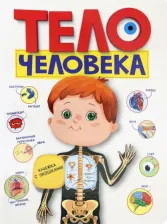 Литература Книга Тело человека 9785378300143
