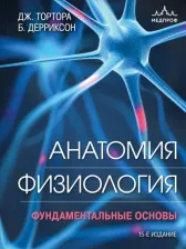 Литература Книга Тортора Джерард. Анатомия. Физиология. Фундаментальные основы