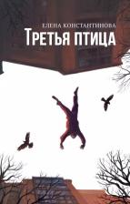 Литература Книга Третья птица