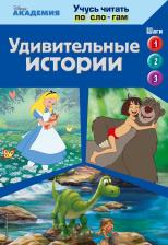 Литература Книга Удивительные истории