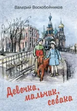 Литература Книга Воскобойников Валерий Михайлович. Девочка, мальчик, собака. Повесть