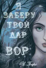 Литература Книга Я заберу твой Дар. Вор