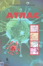 Литература Книга Янушевич Олег Олегович, Робустова Татьяна Григорьевна. Атлас инфекционных болезней в стоматологии