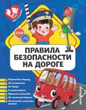 Литература Книга Юлия Сергеевна Василюк. Правила безопасности на дороге
