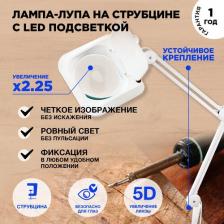 Лупа Rexant 31-0111