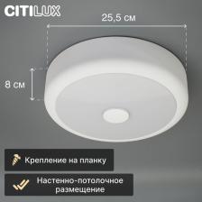 Светильник Citilux CL706310