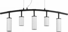 Светильник Lightstar LR735362863