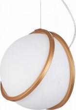 Светильник ST Luce SL1181.313.01