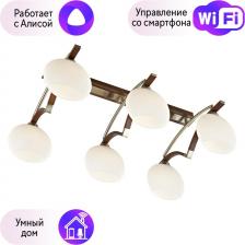 Люстра Velante 269-527-06