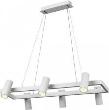 Светильник Vele Luce VL10021P06