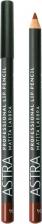 Макияж Астра Карандаш Make-Up контурный для губ Professional Lip Pencil, 41 Wood
