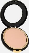 Макияж Etre Belle Double Face Make-up Матирующая компактная пудра для лица
