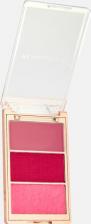 Макияж Makeup Revolution Палетка румян для лица Icon palette 3 г 5057566929899