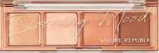 Макияж Nature Republic Тени и палетки теней Тени для век DAILY BASIC PALETTE