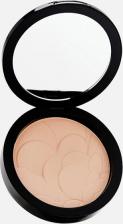 Макияж Pastel Пудра для лица PROFASHION ADVANCED POWDER 8690644007217