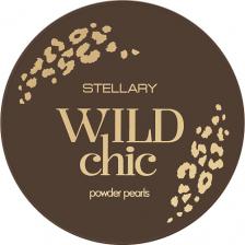 Макияж Stellary Пудра для лица Пудра в шариках Wild Chic Collection Powder Pearls