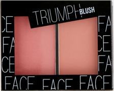 Макияж TF Cosmetics Румяна для лица двухцветные Triumph Blush 96 холодный коричневый/блестящий нежно-розовый