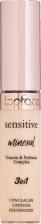 Макияж TopFace Консилер минеральный PT471 Sensitive Mineral 3 in 1 Concealer 01 тон