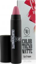Макияж Triumph Triumf Of Color Губная помада №716 (карамельный нюд)