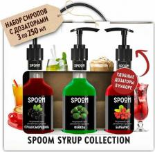 Мед/варенье Spoom Набор сиропов для кофе Черная смородина, Фейхоа, Барбарис 3 шт по 250 мл