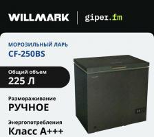 Морозильник-ларь Willmark CF-120BS