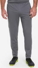 Мужские спортивные брюки Demix Брюки мужские Midfielder, Серый 4680577255216