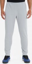 Мужские спортивные брюки Demix Брюки мужские, Серый 4680577405505