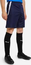 Мужские спортивные шорты Puma Шорты мужские Team Liga, Синий 4063699151343