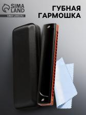 Губная гармошка Music Life T22K