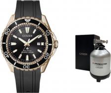 Наручные часы Citizen BN0193-17E