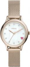 Наручные часы Fossil BQ3594