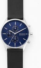 Наручные часы Skagen SKW6606