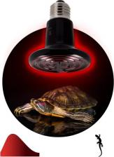 Оборудование для аквариума Эра Лампа накаливания для брудера и террариума Е27 50 Вт 220 В матовая