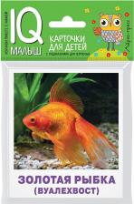 Обучающая игра/пособие Айрис-пресс Аквариумные рыбы: Карточки для детей с подсказками для взрослых / Малунова М.В