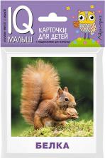 Обучающая игра/пособие Айрис-пресс Ходюшина Н.П. Комплект двусторонних карточек. Кто живёт в лесу?. Айрис - Активный тренинг. Умный малыш