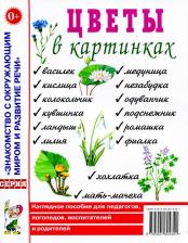 Обучающая игра/пособие Книга Цветы в картинках. Наглядное пособие для педагогов, воспитателей, логопедов, родителей